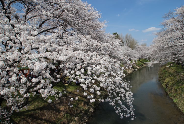 gifu & around
